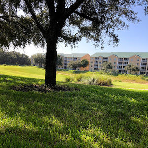 Meet your Posher, Tani